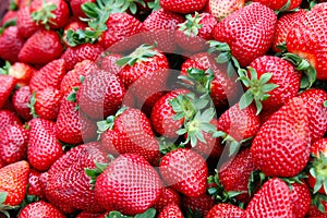 Detail of red strawberry in group