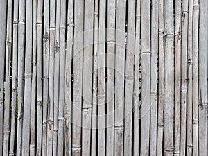 Detail of a reed or bamboo mat made of dry gray canes