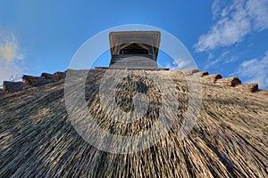 Detail of reed thatch