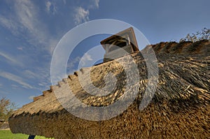 Detail of reed thatch