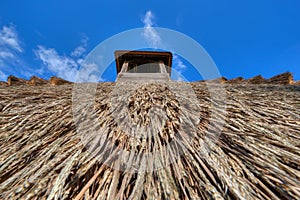 Detail of reed thatch