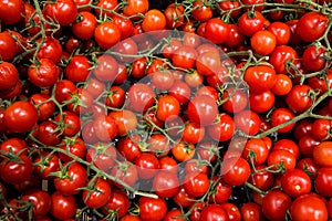 Detail of the Regina tomatoes typical of Puglia Italy