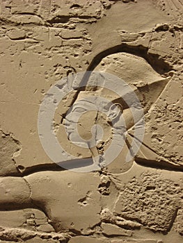 Detail of relief on the wall in Karnak temple