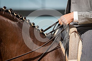 Detail of the rider hands taking the reins photo