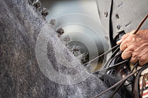 Detail of the rider hands taking the reins photo