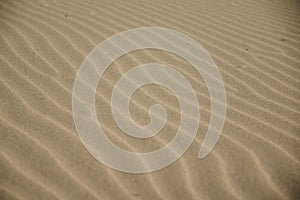 ripple marks on a sandy beach