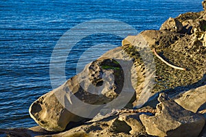 Detail of rock formation at Jack Point in Nanaimo, British Columbia.