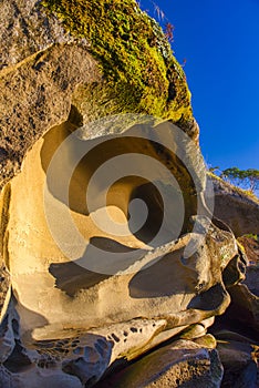 Detail of rock formation at Jack Point park in Nanaimo, BC