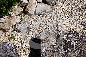 Detail of the rock garden with ornamental gravel and boulders next to delicate green plants
