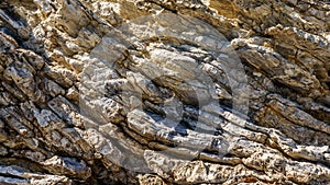 Detail of a rock with variants of blue. Rock full of curves and smooth cuts resulting from the erosive effect of sea.Stones