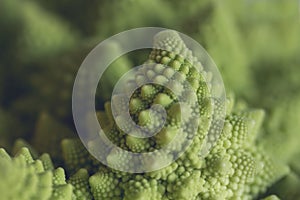 Detail of romanesco cauliflower geometrical shapes