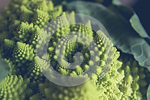 Detail of romanesque cauliflower fractal forms