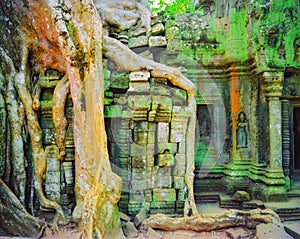 Detail of the ruins of the Ta Prohm temple, Angkor Wat, Cambodia