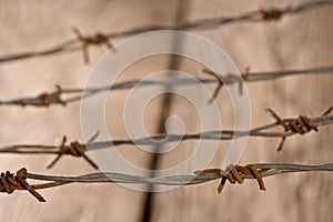 Detail of rusty barbed wire