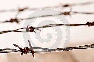 Detail of rusty barbed wire