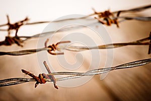 Detail of rusty barbed wire