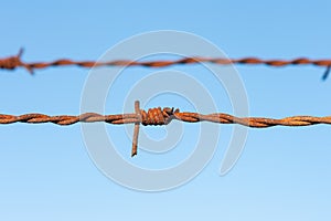 Detail of a rusty barbed wire fence