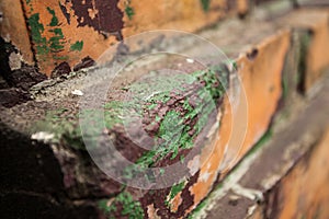 Detail of rusty fence