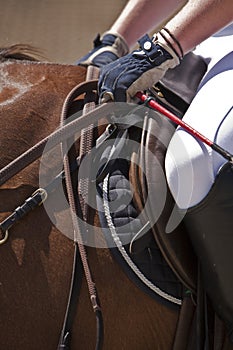 Detail of saddle and leads a Spanish purebred horse photo