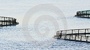 Detail from salmon aquaculture plant