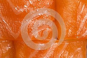 Detail of salmon roll