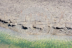 Detail of Saltern Pond photo