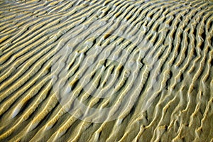 Detail of sand structure