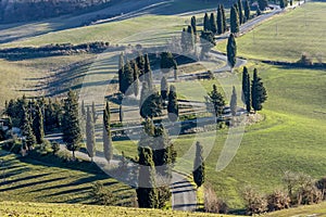 Detail of scenic road edged by cypress trees in the Tuscan countryside near Monticchiello, Siena, Italy