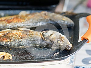 detail of sea bass grilled