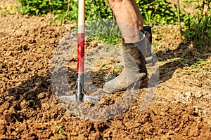 Detail on senior foot in dirty wellington boot and spade on wet