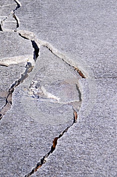 Detail of severely damaged cement sidewalk photo