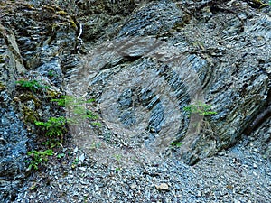 Detail of Shaley Sedimentary Formation