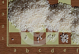 Detail shot of a chessboard from above. There are grains of rice on the board, the number of which doubles with each square