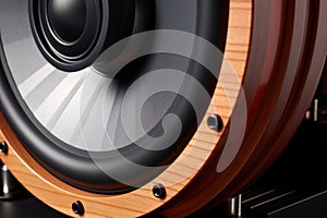 detail shot of high frequency tweeter speaker