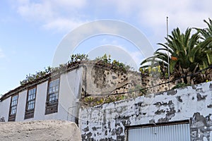 Detail shot of roofs covered with plants in Icod de los Vinos