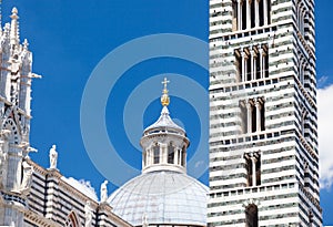 Detail of Siena cathedral in a sunny summer day, Tuscany, Italy