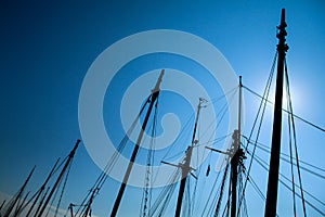 A detail of the silhouettes of many masts