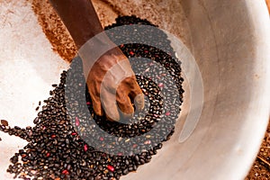 Detail of skinny african woman hand holding black beans in pot while working in the farm in the countryside