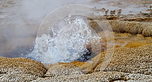 Detail of a small geyser erupting