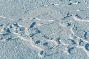 Detail of snow and freeze texture formed by wind