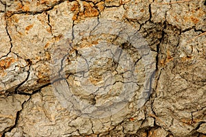 Detail soil region