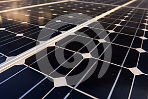 Detail of solar panels texture