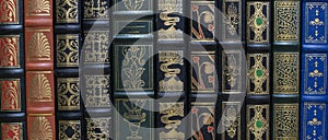 Detail of some classic books on a shelf photo