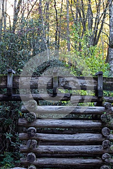 Detail of a stacked log support for a water sluice, autumn leaves and rhododendrons