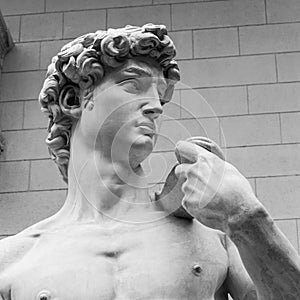 The detail of statue - David by Michelangelo