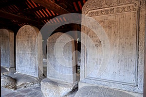 Detail of the Stele Pavilion in the Temple of Literature in Hanoi, Vietnam