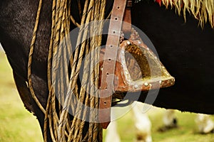 Detail of a stirrup