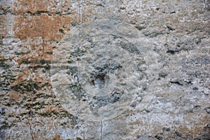 Detail of an old medieval wall, texture photo