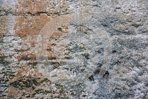 Detail of an old medieval wall, texture photo