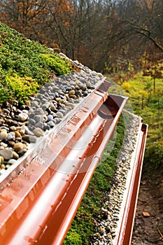 Detail of stones on extensive green living roof vegetation covered